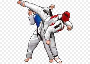 Taekwondo benefits for fitness in the UAE - UAE Personal Trainers